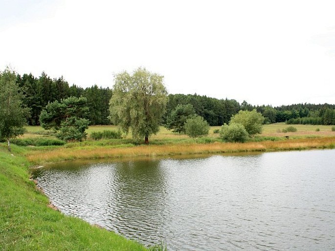 Plzeňská pahorkatina, Rybníčky u Soběkur