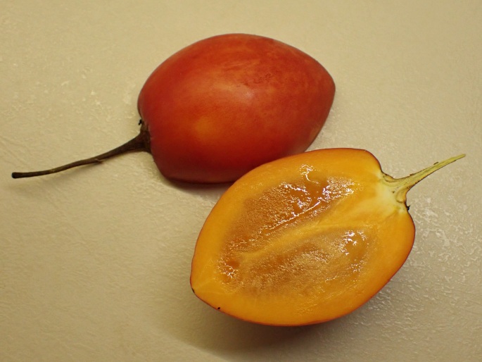 Solanum betaceum