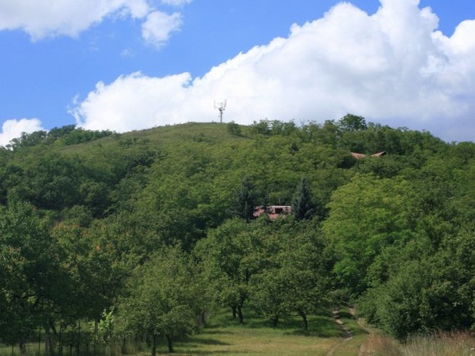 Hustopečská pahorkatina, Špice – přírodní rezervace