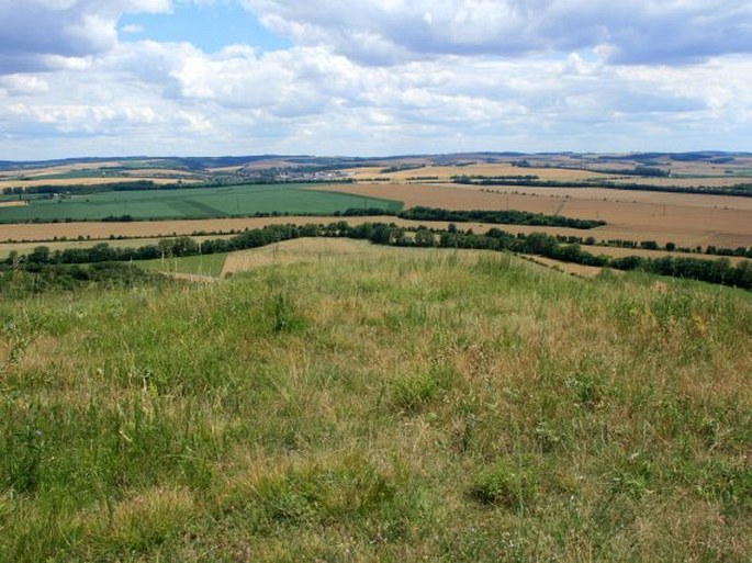 Špice - přírodní rezervace