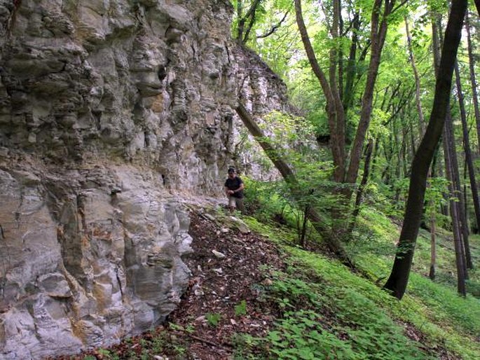 Malý a Velký štít