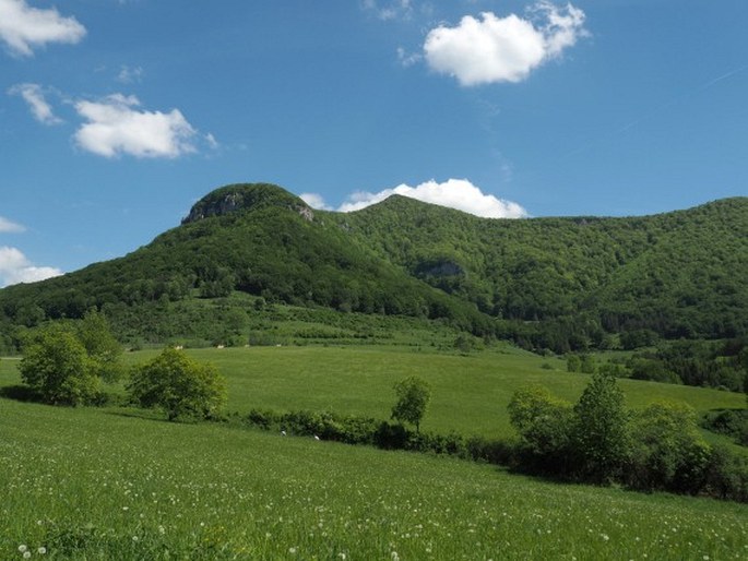 Slovensko, Strážovské vrchy, Strážov