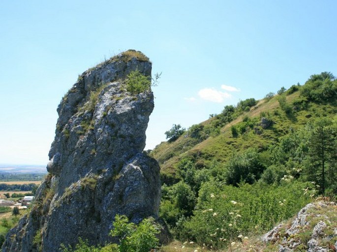 Pavlovské kopce, Tabulová