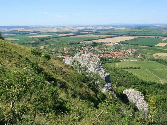 Pavlovské kopce, Tabulová