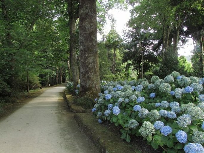 Parque Terra Nostra