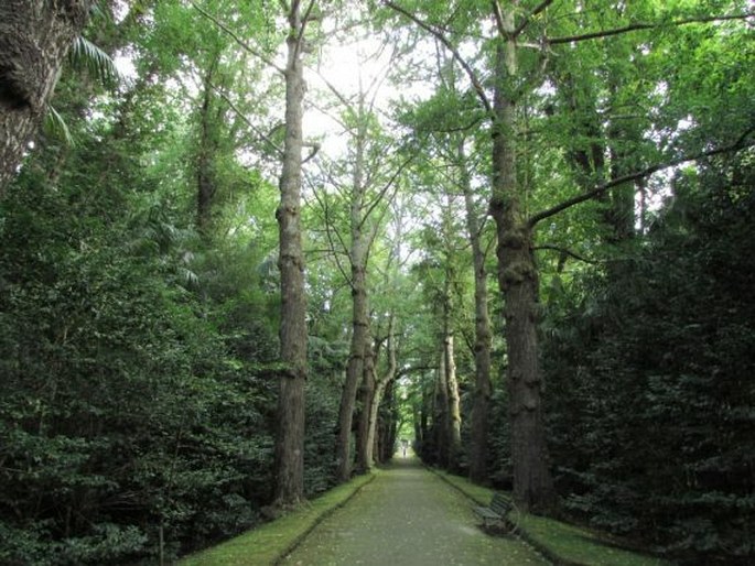 Parque Terra Nostra