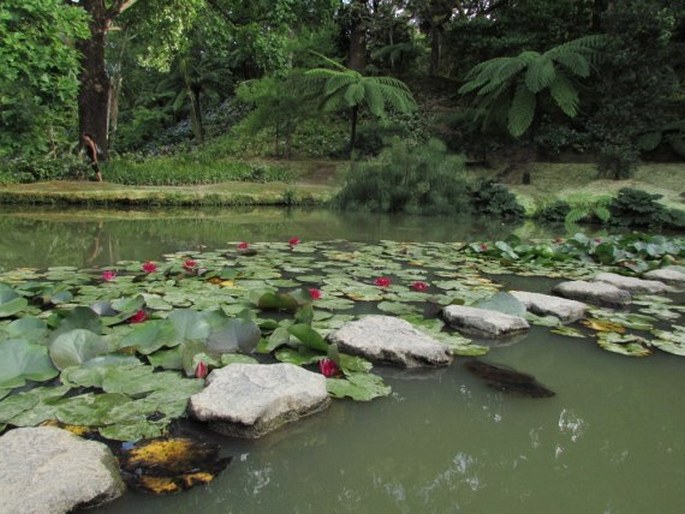 Parque Terra Nostra