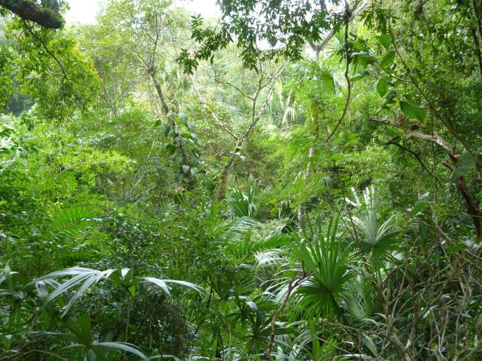 Parque Nacional Tikal