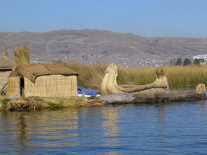 Titicaca