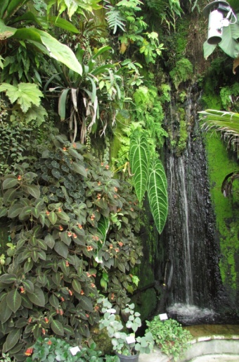 Jardin Botanique Henri Gaussen - Francie, Toulouse