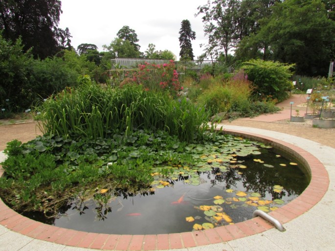 Jardin Botanique Henri Gaussen - Francie, Toulouse