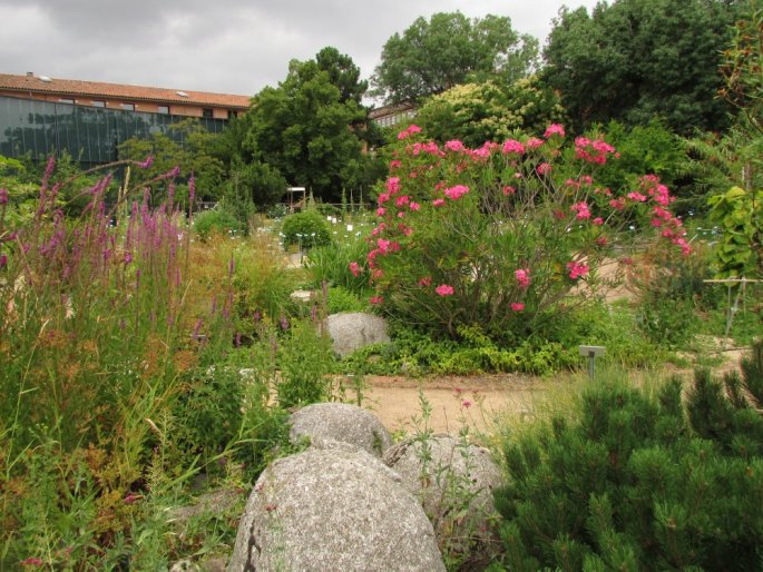 Jardin Botanique Henri Gaussen - Francie, Toulouse