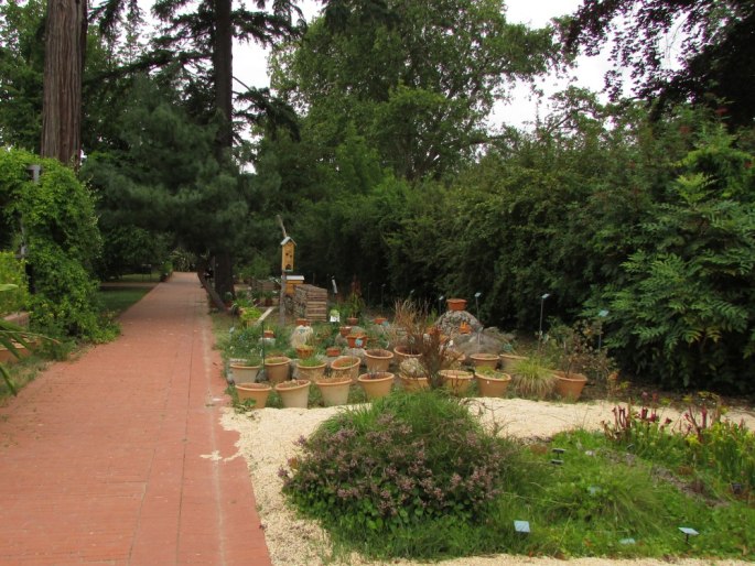 Jardin Botanique Henri Gaussen - Francie, Toulouse