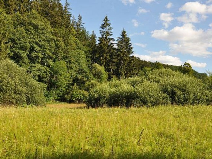 Zlínské vrchy, Trubiska – přírodní památka a evropsky významná lokalita Pozděchov