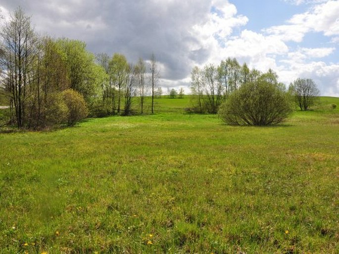 Žďárské vrchy, U Tučkovy hájenky – přírodní památka