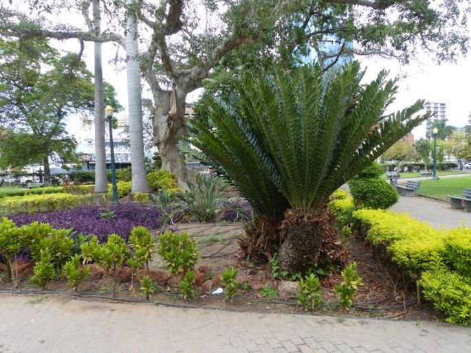 Jardim Botânico Tunduru