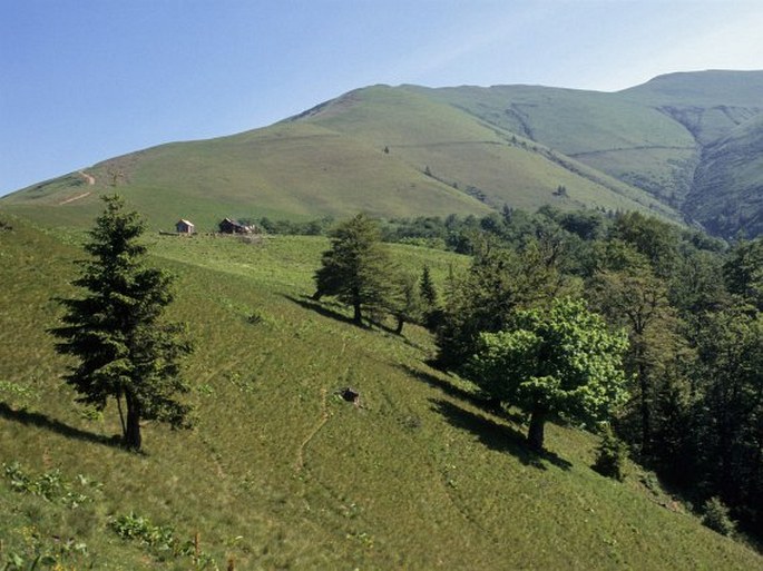 Ukrajinské Karpaty