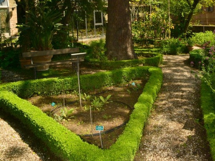 Orto Botanico Università di Urbino