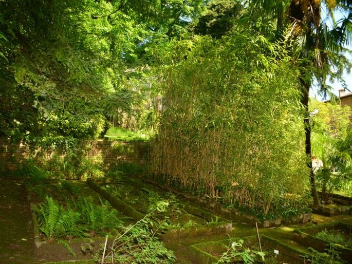 Orto Botanico Università di Urbino