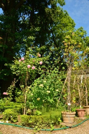 Orto Botanico Università di Urbino