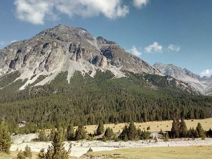 Val Müstair Parc Naziunal