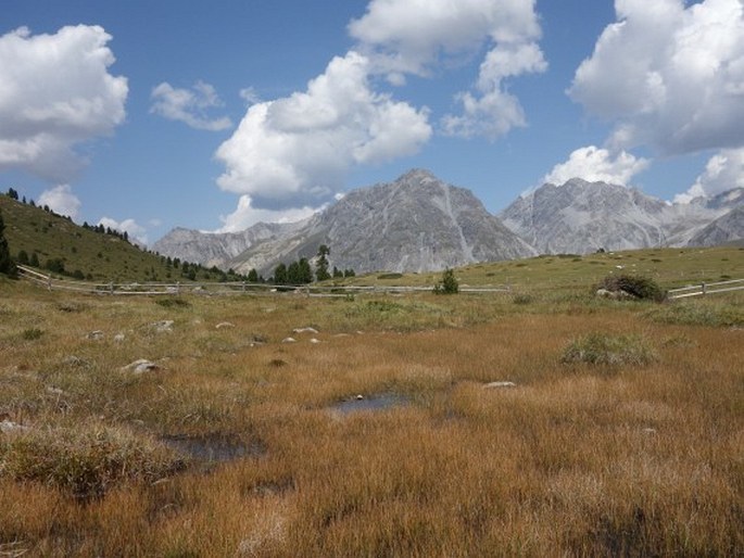 Val Müstair Parc Naziunal