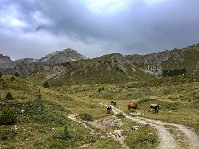 Val Müstair Parc Naziunal