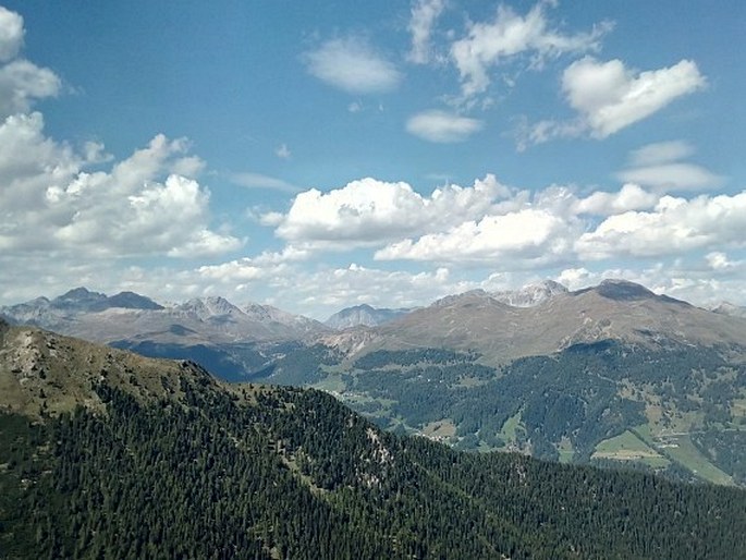 Val Müstair Parc Naziunal