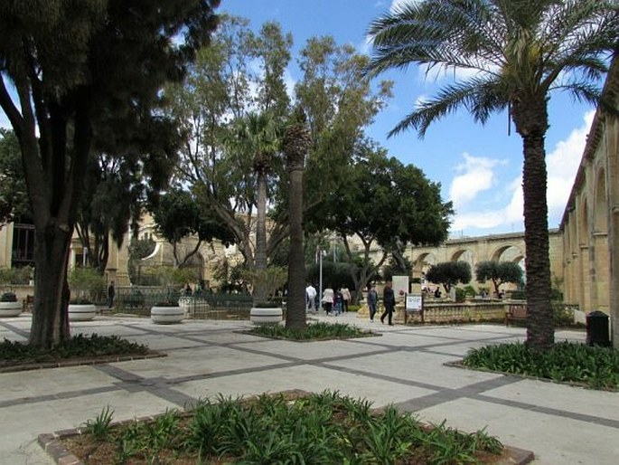 Upper Barrakka Gardens (Il-Barrakka ta' Fuq) - Malta, Valletta