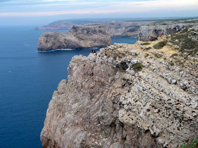 Portugalsko, Cabo de São Vicente – o konci světa a jeho květeně