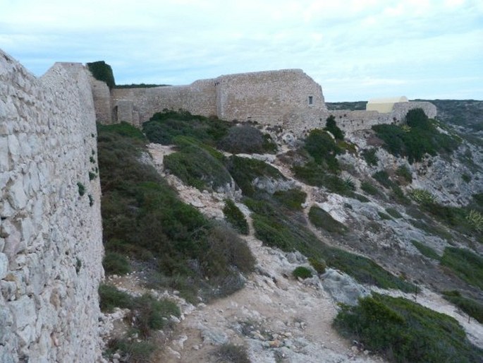 Cabo de São Vicente