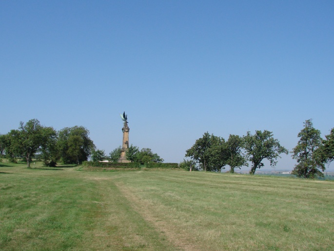 Vrba v Křečhoři