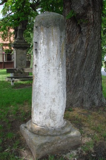 Lípa a jírovec u svatého Donáta ve Vykáni