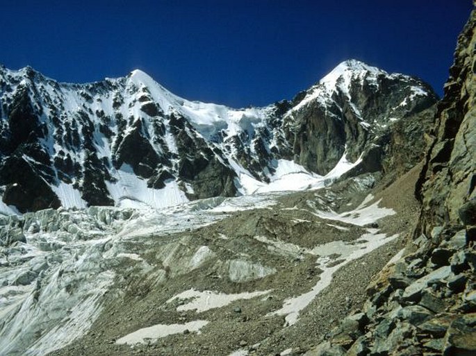 Waldheimia tridactylites