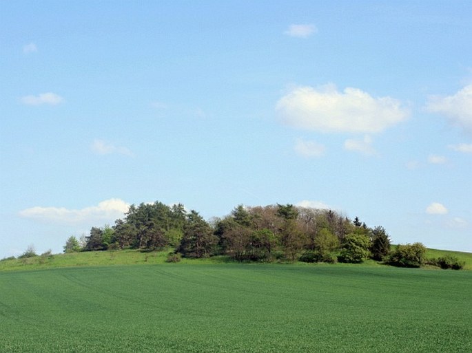 Za Hrnčířkou