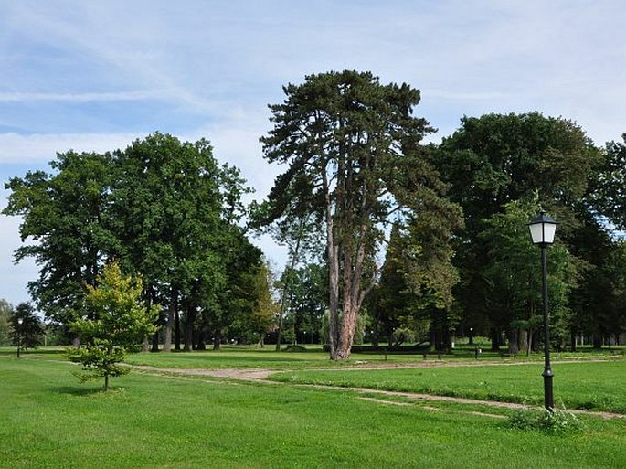 Zámecký park Zdechovice