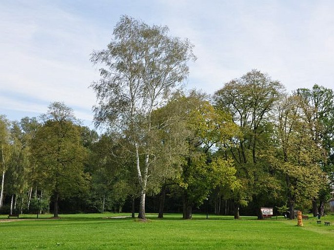 Zámecký park Zdechovice