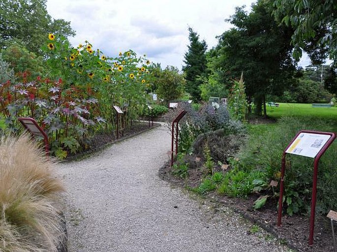 Conservatoire et Jardin botaniques de la Ville de Genève