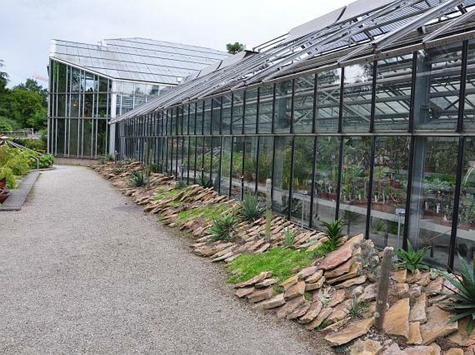 Conservatoire et Jardin botaniques de la Ville de Genève