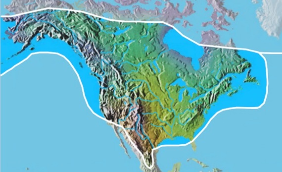 North American